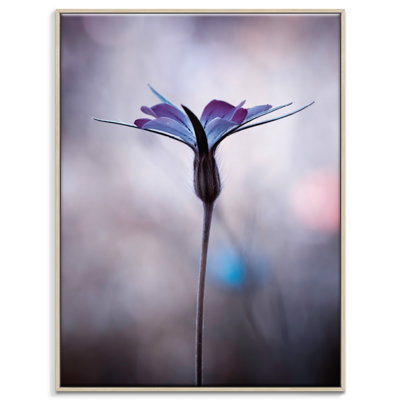 Print on Canvas