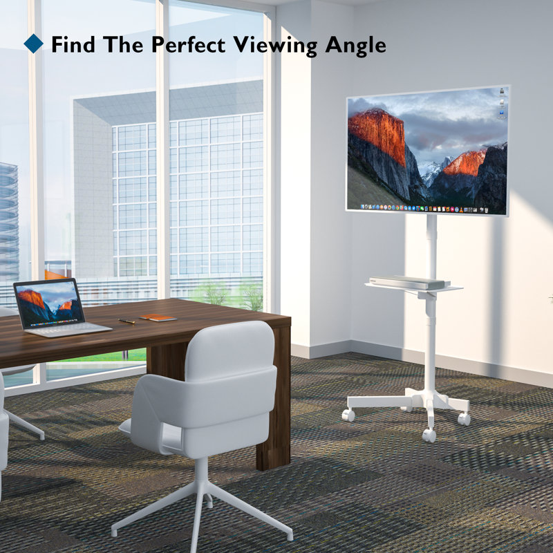 Folkert Fairmont Park Single Screen Floor Stand Mount