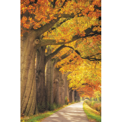 Reproduction d'automne sur toile par Martin Podt