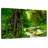 Alvord Enchanting Deep Rainforest-108913612