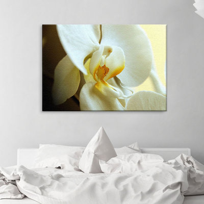 Print on Canvas