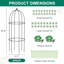 Grow By Plant Support-109019019
