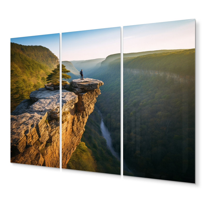 Arkansas Whitaker Point I U.S. States & Territories Wall Decor on Metal