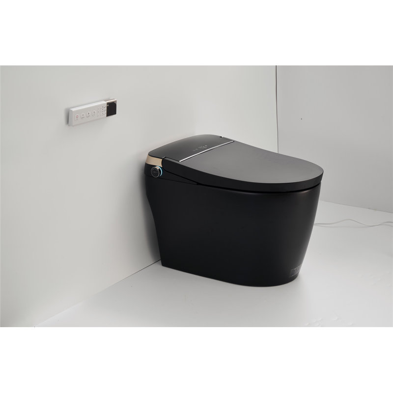 Creationstry GPF Elongated Bidet Toilet (Seat Included), Black