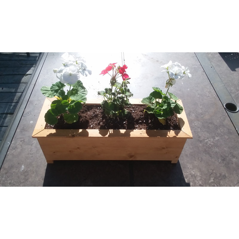 Boîte à fleurs en bois Jayne, H 5,5 po x l 12,5 po x P 6 po
