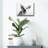 " Irma " by Susan Sabo-2105107006