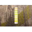 Tapis abstrait ivoire / vert Haslam-445038205
