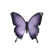 Purple/Black