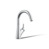 Rival Single-Handle Bar Sink Faucet