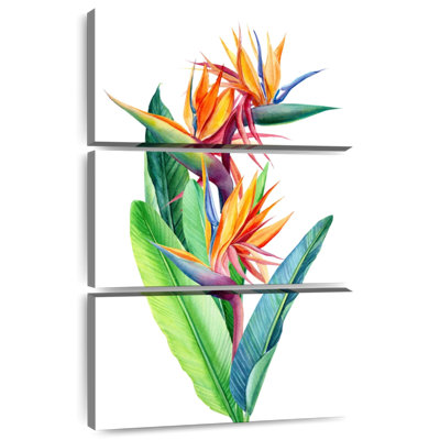 Harnek, oiseaux du paradis