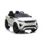 Voiture Range Rover Evoque-62260387