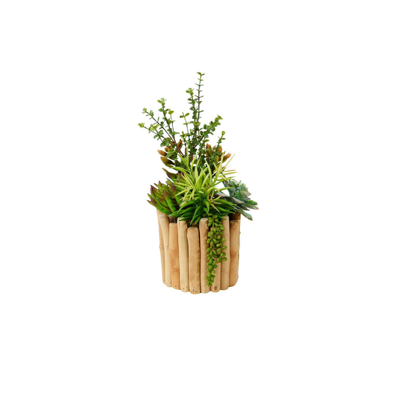 Succulents Arrangement in Glass Wood Planter