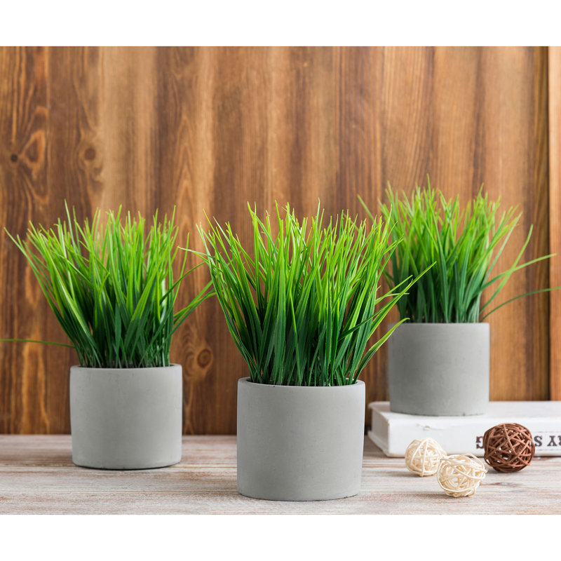 3 - Piece Artificial Grass in Pot Set, Grey