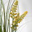 Potted Grass with Yellow Wildflower