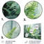 Ensemble de salon Ferns Romantic Impression V - Floral
