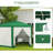 Steel Canopy-98438869
