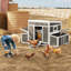 Chicken Coop