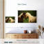 Horses Nuzzling-108887908
