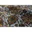 Crown Wool Oriental Area Rug in Blue/Black/Brown