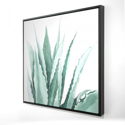 Aquarelle agave - toile encadrée 24 po x 24 po