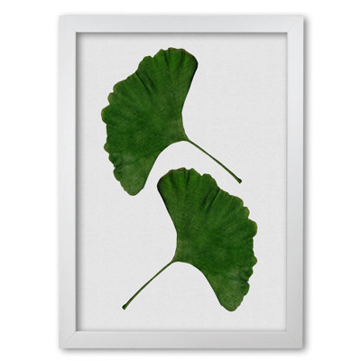 Ginkgo Leaf II - Print
