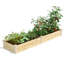 Lit de jardin surélevé en bois 4 pi x 8 pi Katsuyoshi-1014461002-1014461006