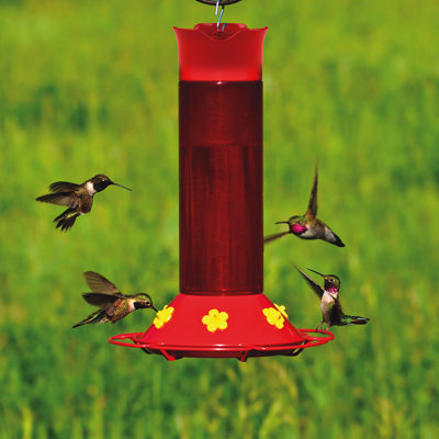 Alsiddiqa Hanging Hummingbird Feeder