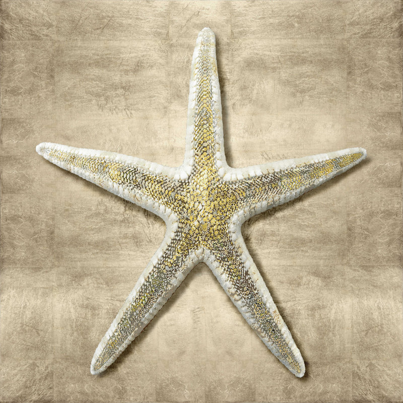 Golden Sea Life I - Impression sur toile tendue, H 12 po x l 12 po
