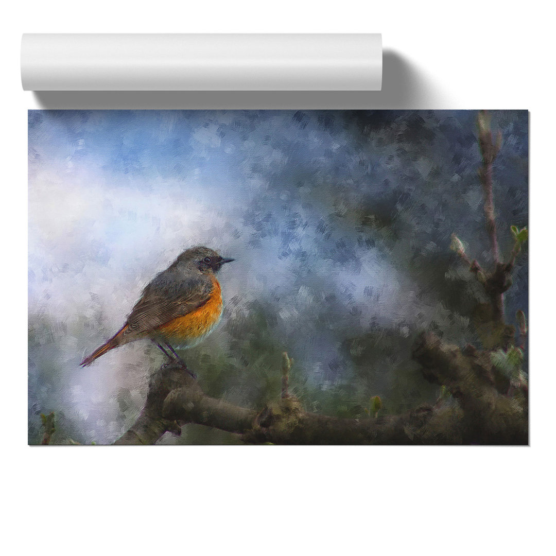 Common Redstart Bird Painting - Frameless Print