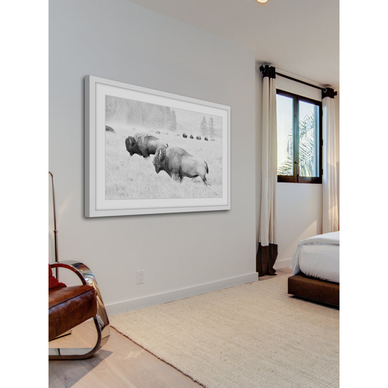 «Buffalos Two», reproduction de photo sur papier encadrée, H 12 po x l 18 po x P 1,5 po