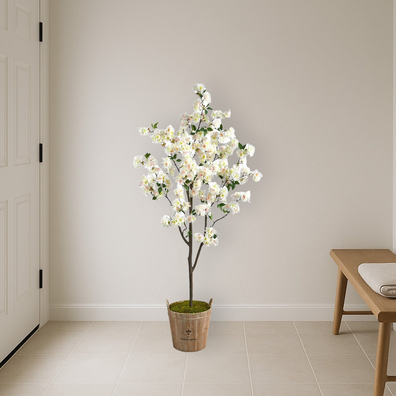 Cherry Blossom Tree in Farmhouse Planter