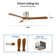 Amoni 52'' Ceiling Fan with LED Lights