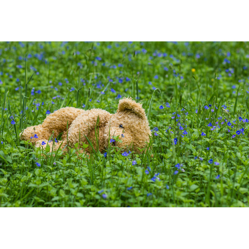 Teddy Bear in Forest - Photographie sur toile tendue, H 12 po x l 18 po