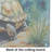 Turtles Tortoises Glass Cutting Board Large