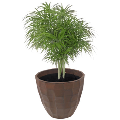 Boisdale Pebbled 15.75" x 15.75" x 14" Round Brown Polyresin Outdoor Planter Pot