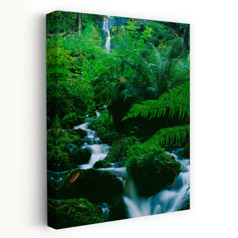 Cascade dans une forêt, Dartmoor, Devon, Angleterre, art contemporain de paysage abstrait, H 24 po x l 16 po