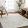 Oriental Indoor / Outdoor Rug