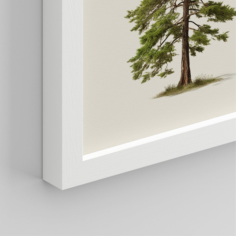Arbre de Noël, pin, art, gros plan, impression encadrée sur papier, 4 pièces, H 10 po x l 8 po, Blanc