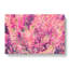 Pink Heather - Wrapped Canvas-61838260