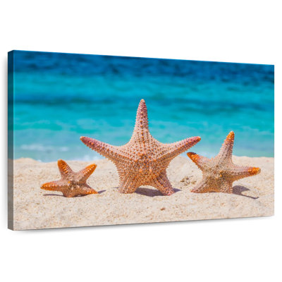 Starfish trio Aletra