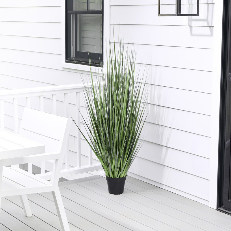 Herbe d'agave en pot 60 po UV, 60 po x 17 po