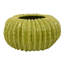 Pot décoratif en forme de melon, texture nervurée verticale, céramique verte-109521459