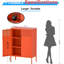 Steel 2 - Door Rectangle Accent Cabinet
