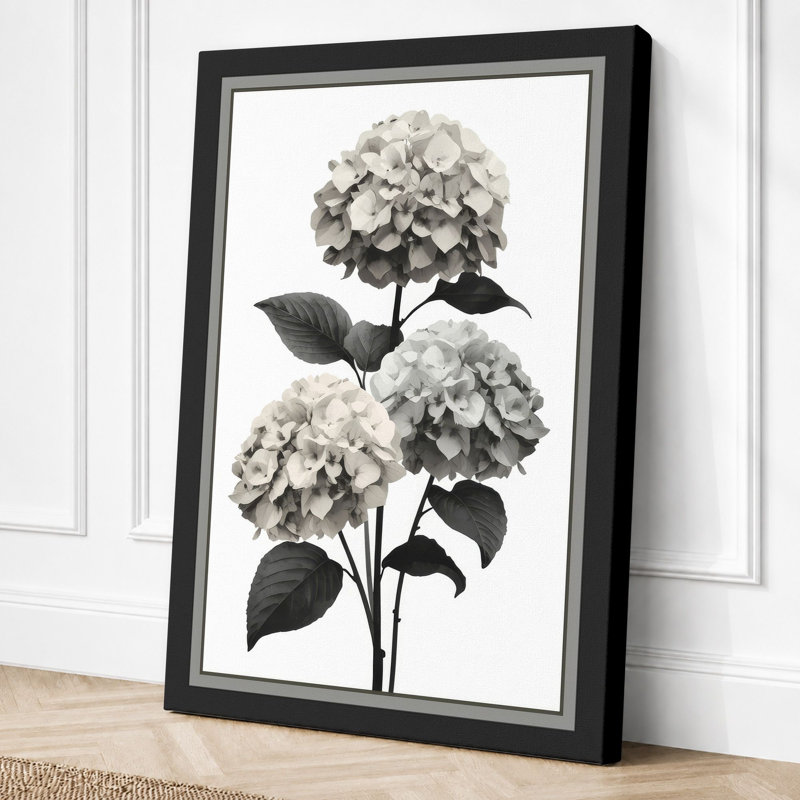 Hydrangea Study Botanical - Wrapped Canvas, 30x20 - 76.2 x 50.8 cm, Black Border