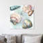 « sea shells »-impression sur toile tendue-23682673