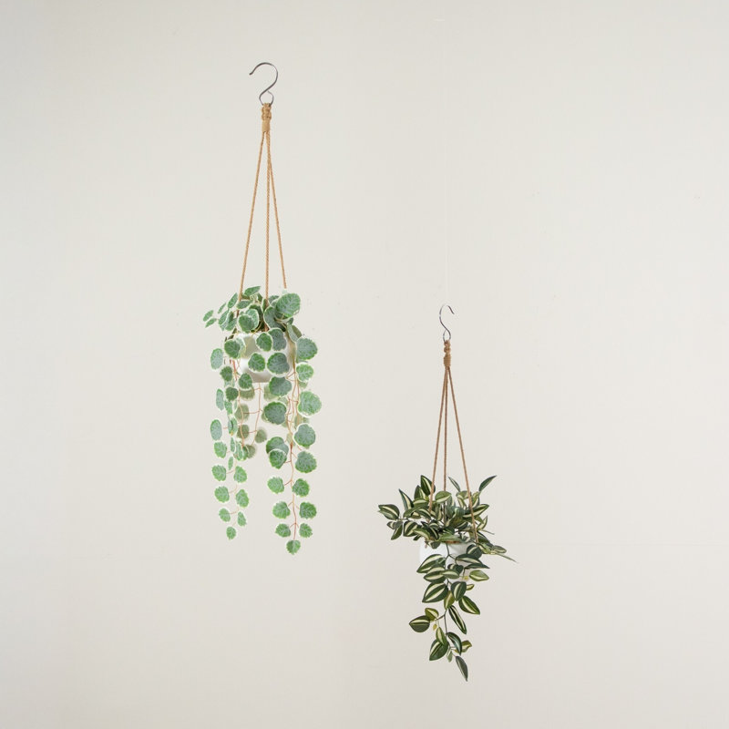 Ensemble de 2 plantes à suspendre juives et cordes de cœurs artificielles