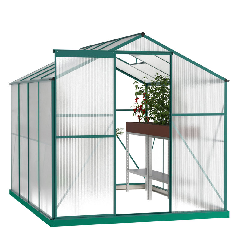 Serre, serre de jardin à plante robuste de 6 pi x 8 pi pour la cour / l'extérieur