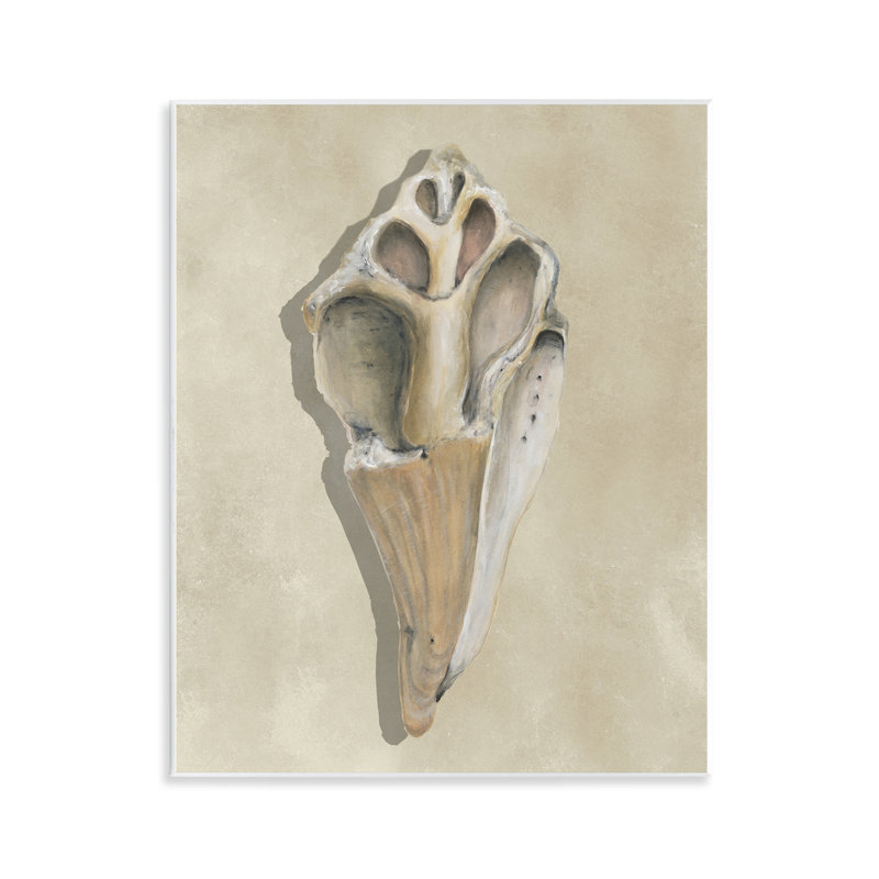 «Broken Conch Shell», art par Michael Willett