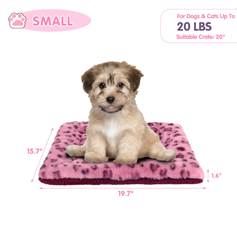 Tapis de caisse pour animal en peluche, Petit (l 19,7 po x P 15,7 po x H 1,57 po)