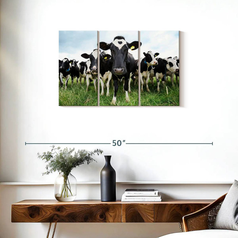 Brampt Holstein, H 20 po x l 33 po